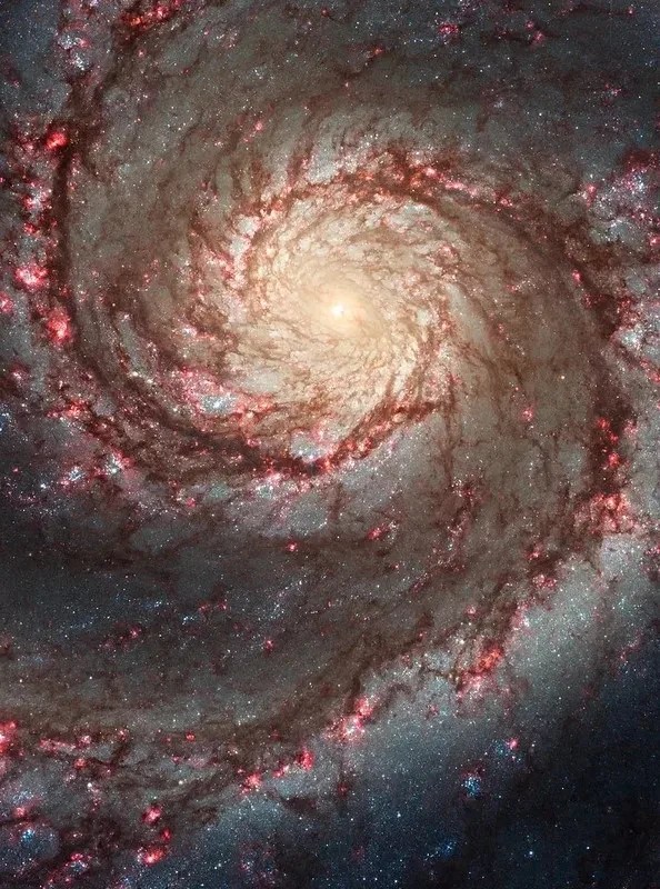 Galaxie spirale M51, bulbe central dense entouré de bras spiraux diffus
